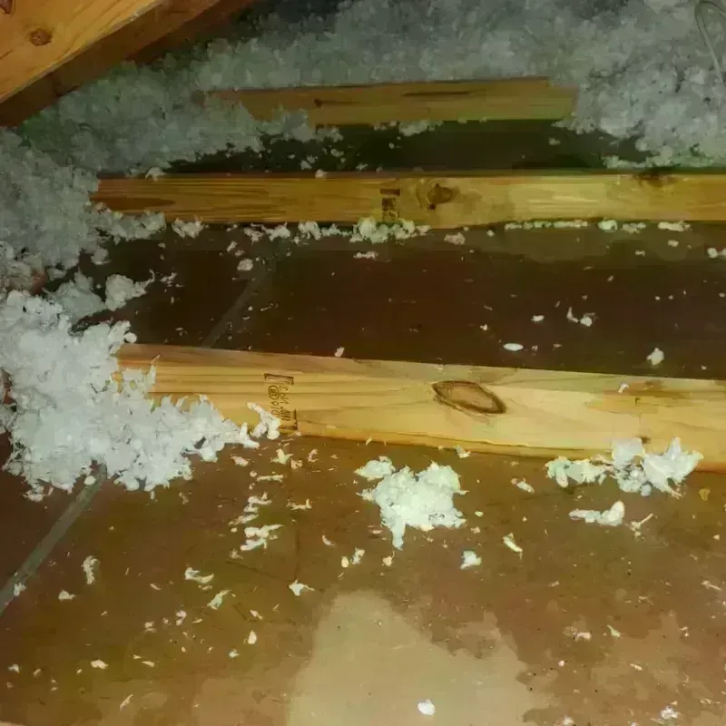 Attic Water Damage in Panola County, MS